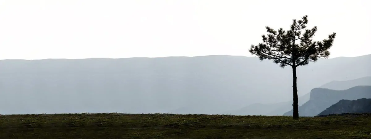 Psihoterapeut Kristina Pota Radulović, Psihoterapija i psihološko savetovanje